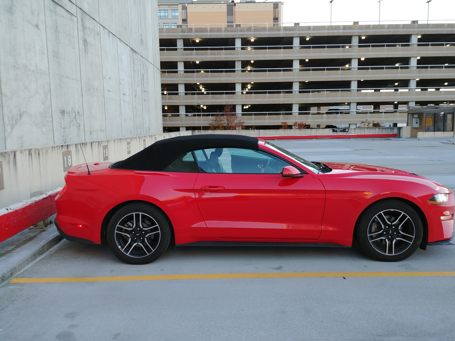 Mustang 1 2